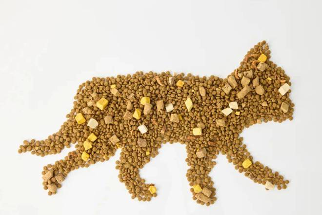 雀巢给猫狗做好饭国产宠物粮捞起袖子干